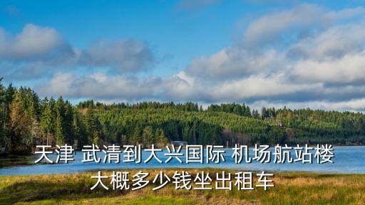  天津 武清到大興國際 機(jī)場航站樓大概多少錢坐出租車