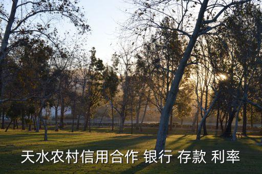 天水農村信用合作 銀行 存款 利率