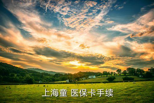  上海童 醫(yī)?？ㄊ掷m(xù)