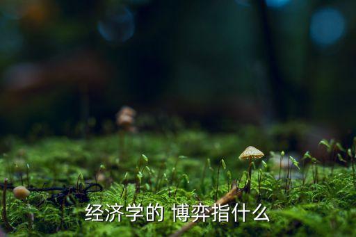 經濟學的 博弈指什么