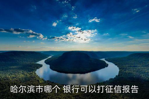 哈爾濱市哪個 銀行可以打征信報(bào)告