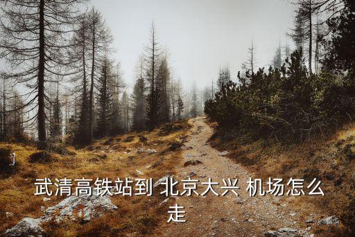 北京新機(jī)場(chǎng)離天津武清遠(yuǎn)嗎