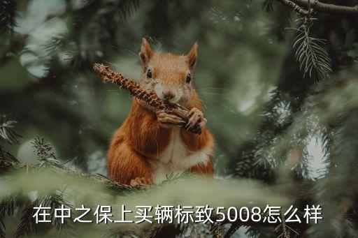 在中之保上買(mǎi)輛標(biāo)致5008怎么樣