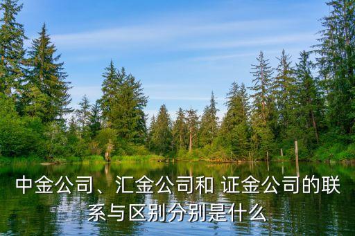 中金公司、匯金公司和 證金公司的聯(lián)系與區(qū)別分別是什么