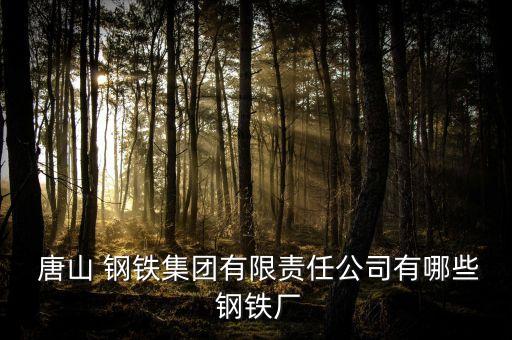  唐山 鋼鐵集團(tuán)有限責(zé)任公司有哪些 鋼鐵廠(chǎng)