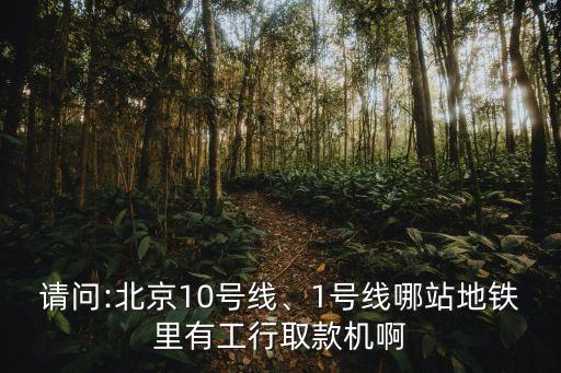 請(qǐng)問(wèn):北京10號(hào)線、1號(hào)線哪站地鐵里有工行取款機(jī)啊