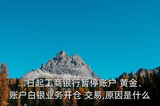 ...日起工商銀行暫停賬戶 黃金、賬戶白銀業(yè)務(wù)開倉 交易,原因是什么