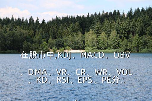 在股市中,KDJ、MACD、OBV、DMA、VR、CR、WR、VOL、KD、RSI、EPS、PE分...