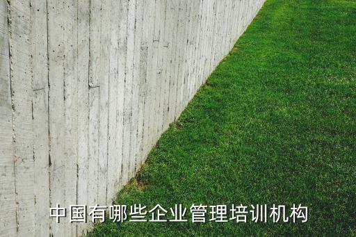 中國有哪些企業(yè)管理培訓機構(gòu)