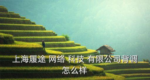 上海君辰網絡科技股份有限公司,上海碩恩網絡科技股份怎么樣