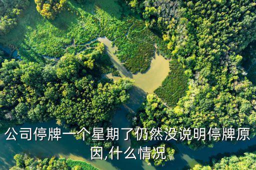 公司停牌一個(gè)星期了仍然沒說(shuō)明停牌原因,什么情況