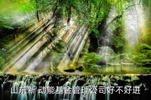 山東新 動能基金管理公司好不好進(jìn)