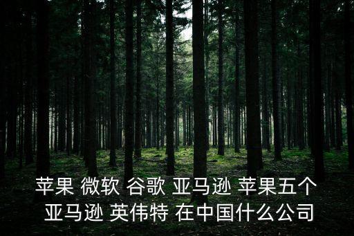 蘋(píng)果 微軟 谷歌 亞馬遜 蘋(píng)果五個(gè) 亞馬遜 英偉特 在中國(guó)什么公司
