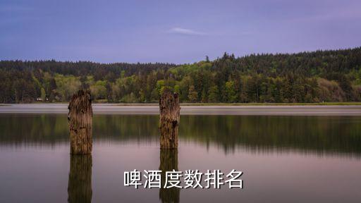  啤酒度數排名