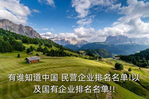 有誰(shuí)知道中國(guó) 民營(yíng)企業(yè)排名名單!以及國(guó)有企業(yè)排名名單!!