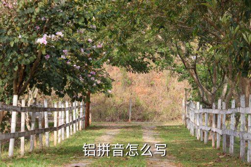 鋁拼音怎么寫(xiě)