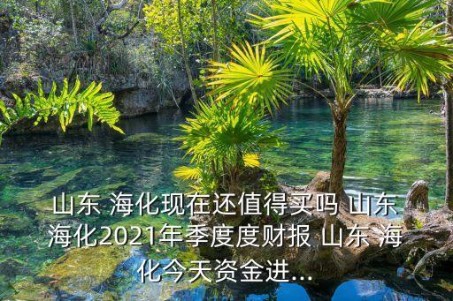 山東?；M出口有限公司