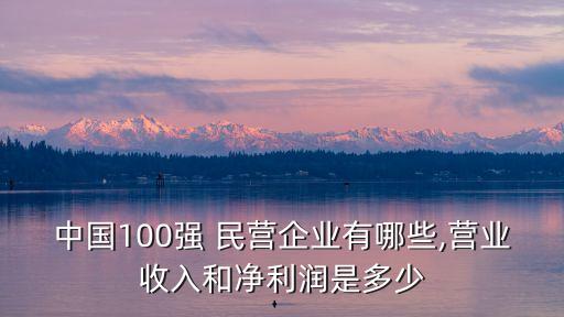 中國(guó)100強(qiáng) 民營(yíng)企業(yè)有哪些,營(yíng)業(yè)收入和凈利潤(rùn)是多少
