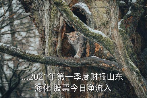 st?；善??；善睔v史交易數(shù)據(jù)