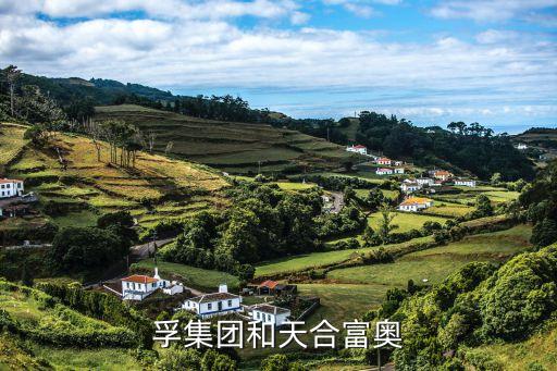 采埃孚集團和天合富奧