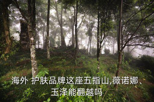 海外 護(hù)膚品牌這座五指山,薇諾娜、玉澤能翻越嗎
