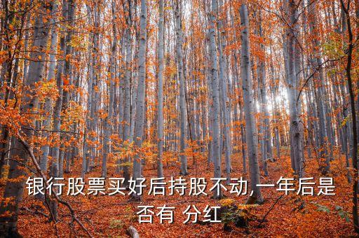 銀行股票買(mǎi)好后持股不動(dòng),一年后是否有 分紅