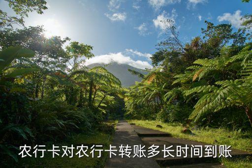 農(nóng)行卡對農(nóng)行卡轉賬多長時間到賬