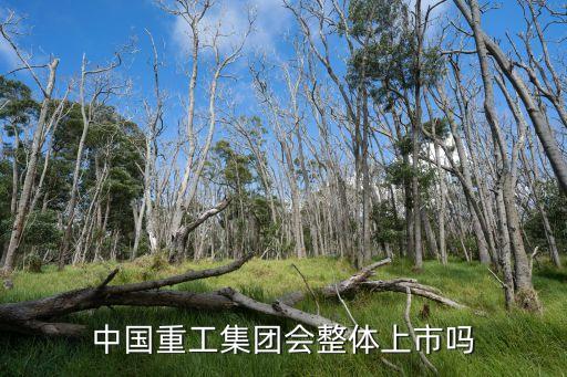 中國重工集團(tuán)會整體上市嗎