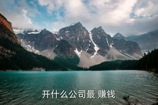 開(kāi)什么公司最 賺錢