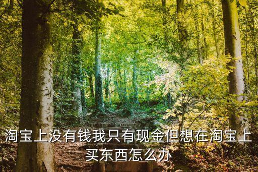 淘寶上沒(méi)有錢(qián)我只有現(xiàn)金但想在淘寶上買(mǎi)東西怎么辦