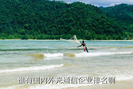 誰有國(guó)內(nèi)外光通信企業(yè)排名啊