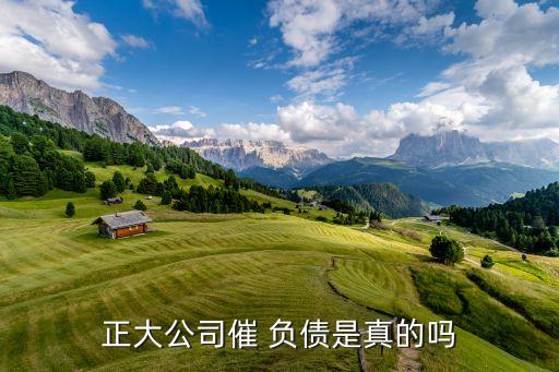 對(duì)集團(tuán)外負(fù)債,集團(tuán)外負(fù)債總額不得超過(guò)資本凈額