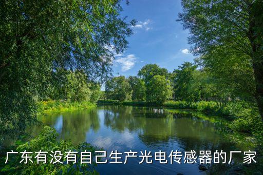 廣東有沒有自己生產光電傳感器的廠家