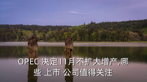 OPEC 決定11月不擴大增產(chǎn),哪些 上市 公司值得關注