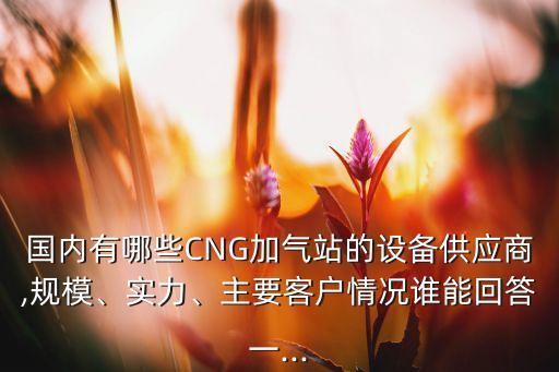 國內(nèi)有哪些CNG加氣站的設備供應商,規(guī)模、實力、主要客戶情況誰能回答一...