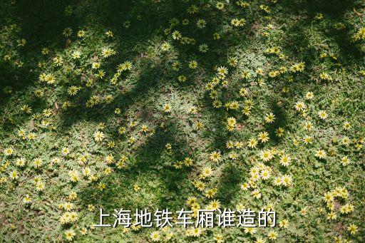 上海地鐵車(chē)廂誰(shuí)造的