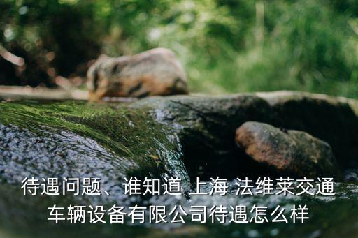 待遇問(wèn)題、誰(shuí)知道 上海 法維萊交通車(chē)輛設(shè)備有限公司待遇怎么樣