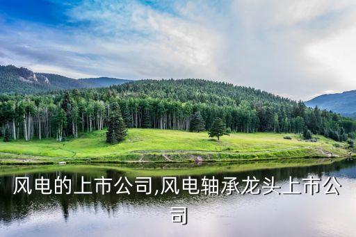 關于風電的上市公司,風電軸承龍頭上市公司