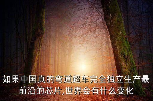 如果中國真的彎道超車完全獨(dú)立生產(chǎn)最前沿的芯片,世界會有什么變化