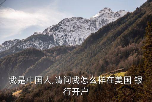 我是中國(guó)人,請(qǐng)問(wèn)我怎么樣在美國(guó) 銀行開(kāi)戶(hù)