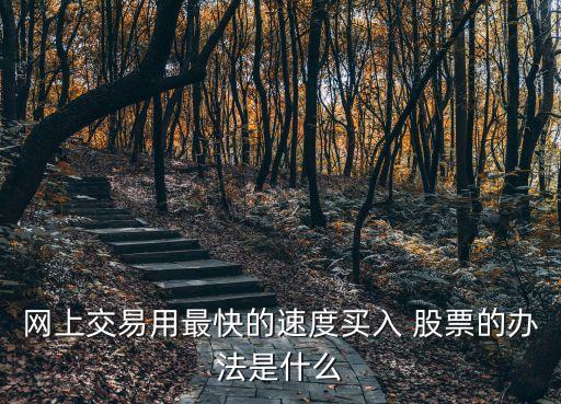 網(wǎng)上交易用最快的速度買(mǎi)入 股票的辦法是什么
