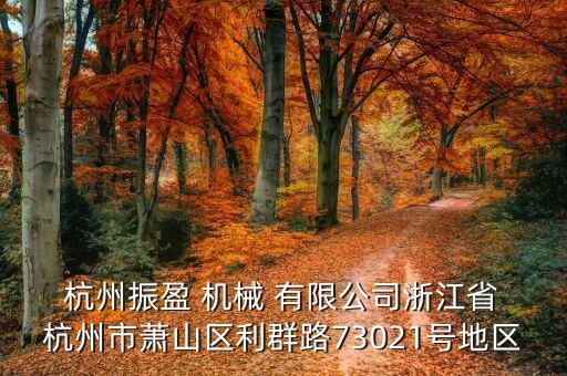  杭州振盈 機(jī)械 有限公司浙江省 杭州市蕭山區(qū)利群路73021號地區(qū)