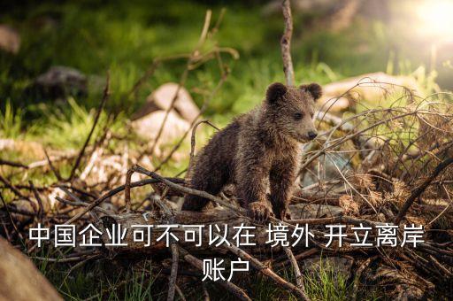 中國(guó)企業(yè)可不可以在 境外 開(kāi)立離岸賬戶(hù)
