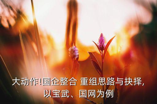 大動作!國企整合 重組思路與抉擇,以寶武、國網(wǎng)為例