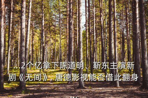 ...2個億拿下陳道明、靳東主演新劇《無間》, 唐德影視能否借此翻身...