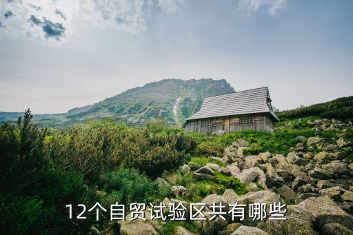 12個自貿(mào)試驗(yàn)區(qū)共有哪些