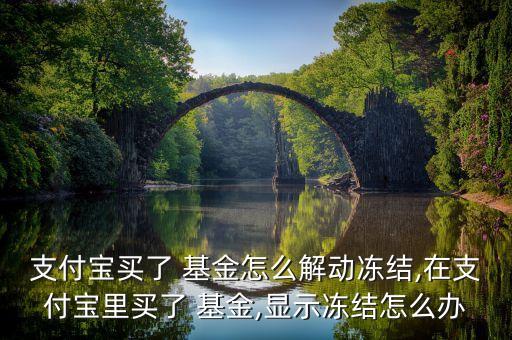 支付寶買(mǎi)了 基金怎么解動(dòng)凍結(jié),在支付寶里買(mǎi)了 基金,顯示凍結(jié)怎么辦