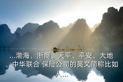 ...渤海、浙商、天平、平安、大地、中華聯(lián)合 保險公司的英文簡稱比如人...