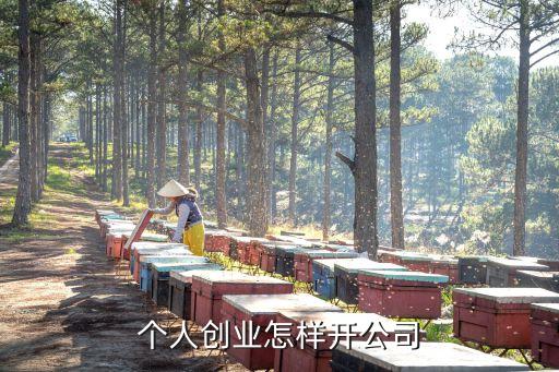 個(gè)人創(chuàng)業(yè)怎樣開(kāi)公司