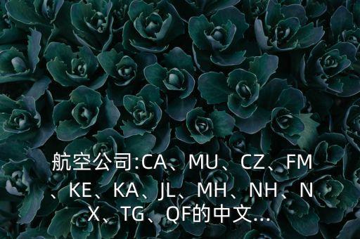  航空公司:CA、MU、CZ、FM、KE、KA、JL、MH、NH、NX、TG、QF的中文...